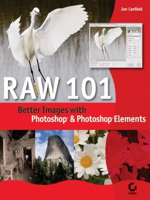 cover image of Raw 101